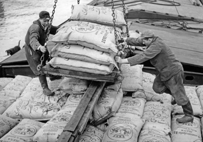 百年传承 狮马牌®复合肥