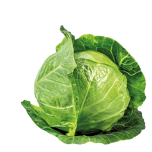 Қырыққабат